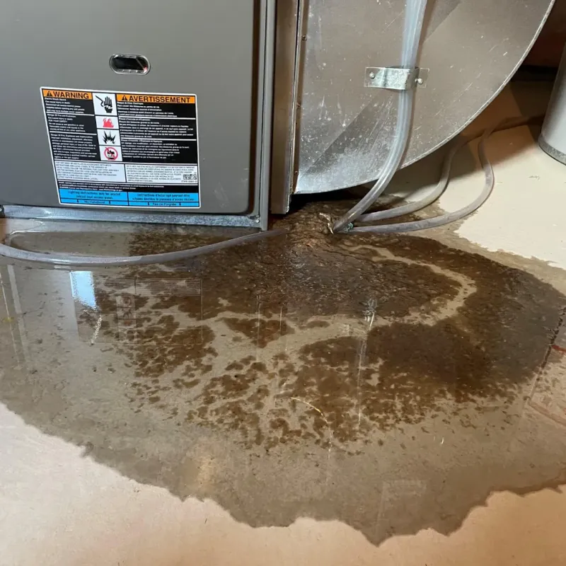 Appliance Leak Cleanup in Jewett, TX