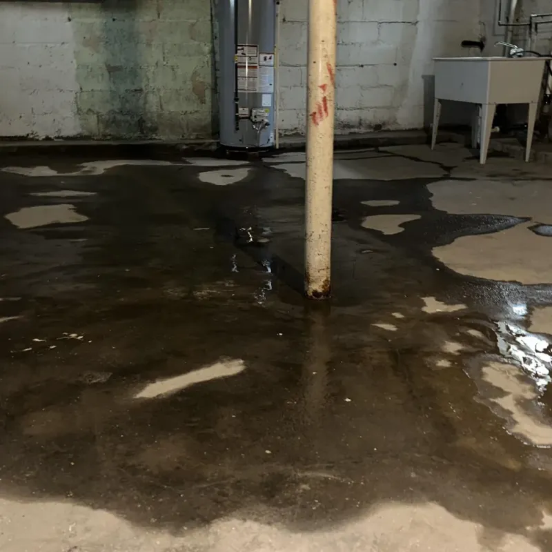 Emergency Water Extraction And Removal in Jewett, TX